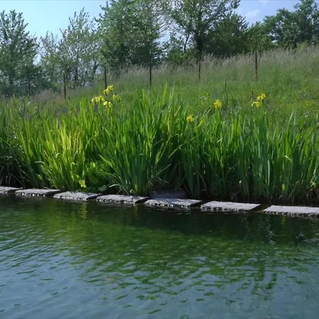 Sacreterre E * Tizzano Val Parma