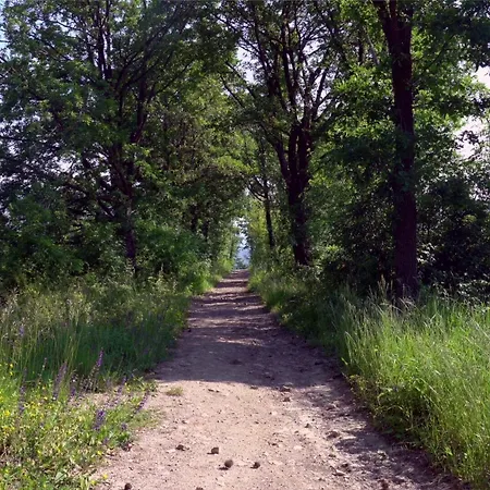 Panzió Sacreterre E *