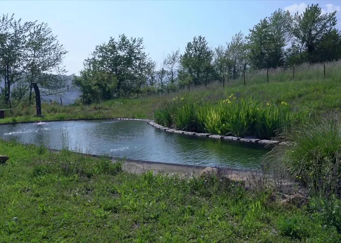 Oda ve Kahvaltı Sacreterre E *