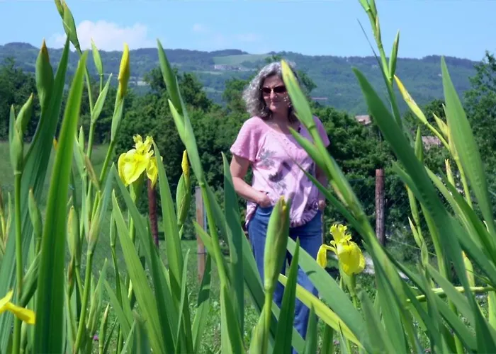 Sacreterre E Tizzano Val Parma