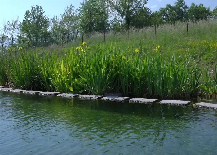 Sacreterre E * Tizzano Val Parma