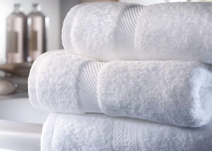 Sacreterre E Oda ve Kahvaltı