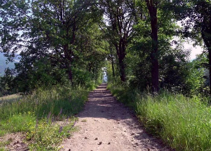 Oda ve Kahvaltı Sacreterre E *