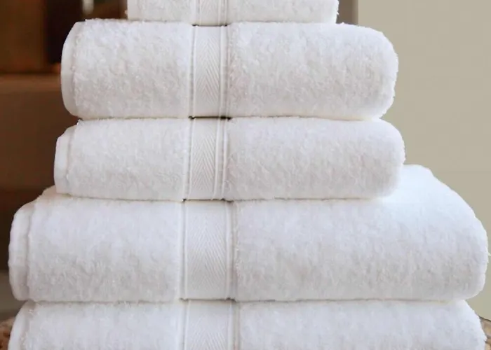 Oda ve Kahvaltı Sacreterre E